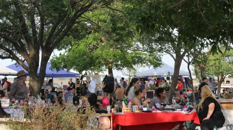 Imagen capturada en la anterior realización.