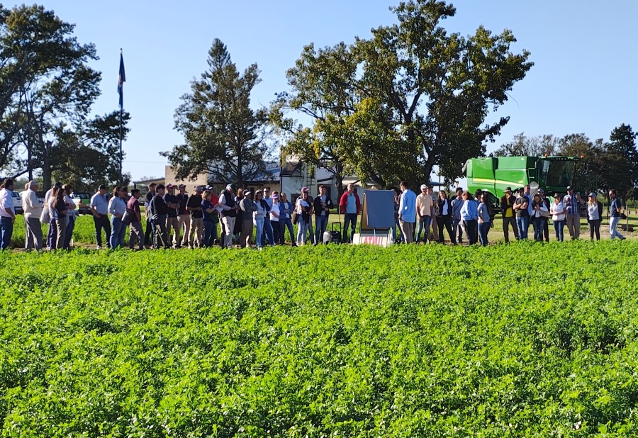 CONVOCATORIA. El INTA Rafaela recibió a productores y técnicos de la región para mostrar los ensayos