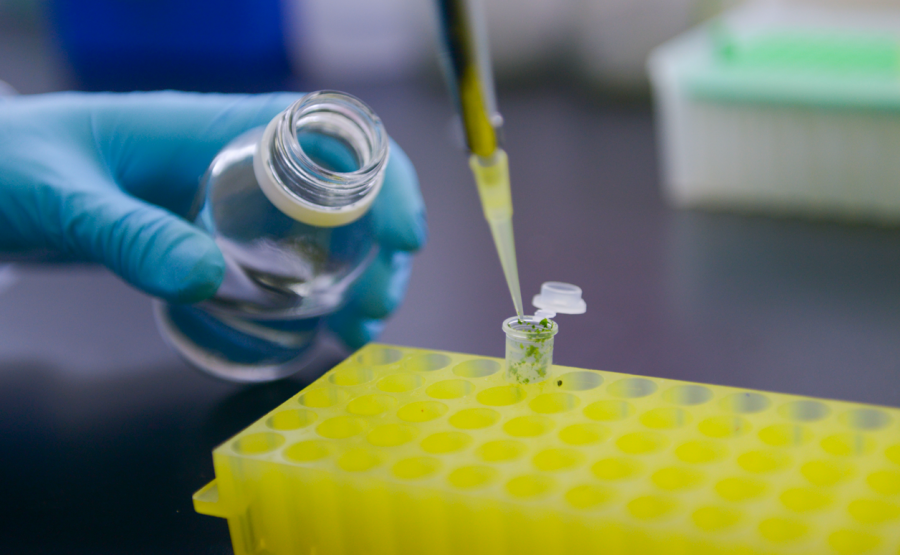 EVENTO. La decisión se tomó luego de un riguroso proceso de evaluación.