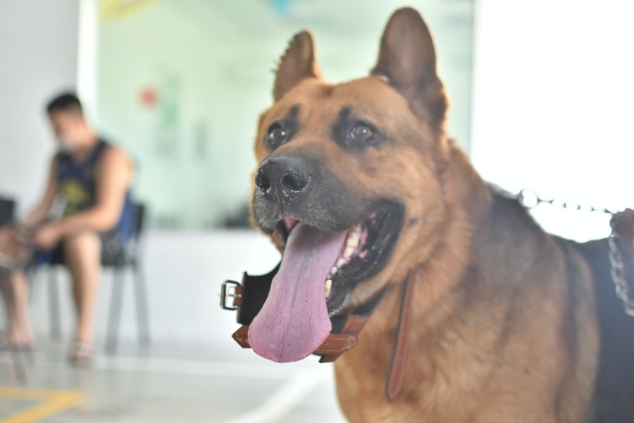 El Quir&oacute;fano M&oacute;vil se ubicar&aacute; en barrio Independencia.