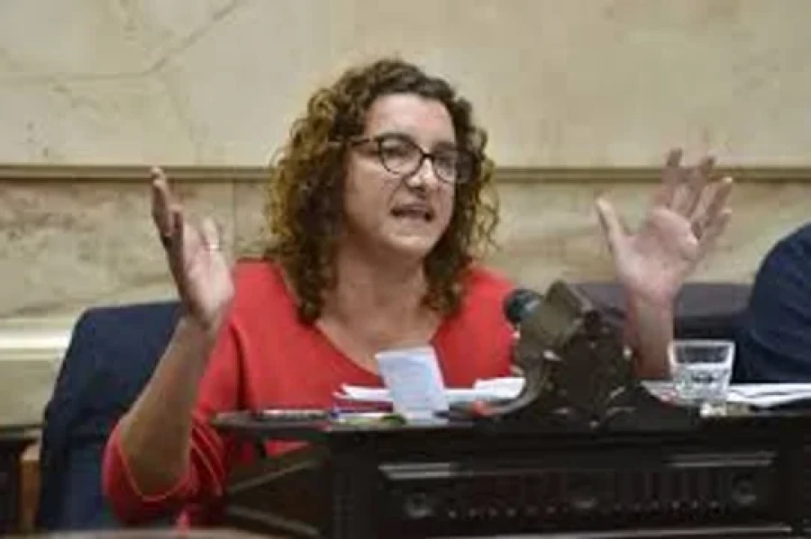 La diputada Vanina Biasi.