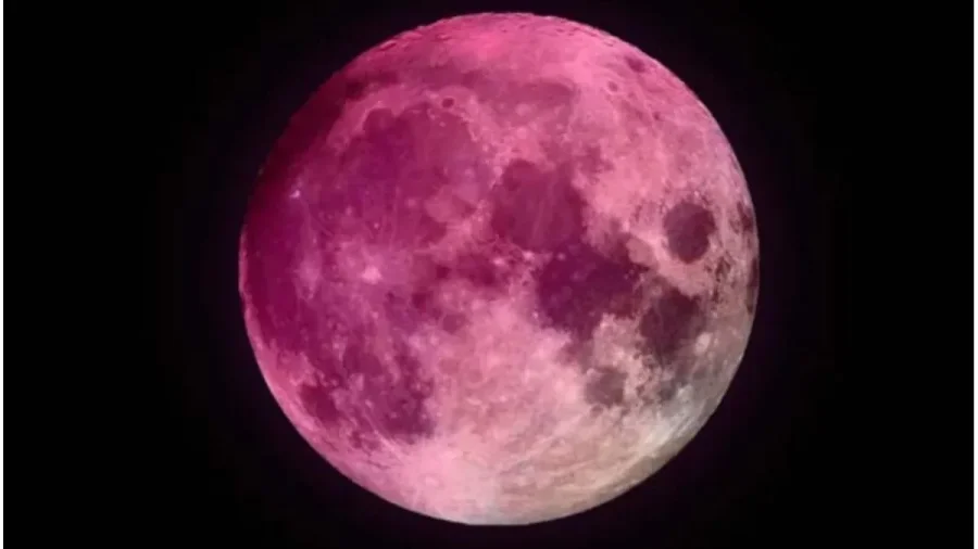 LUNA ROSA DE ABRIL. En pocos días, nuestro satélite natural unatonalidad que no será la que su nombre promete, sino un reflejo de la tradición y las estaciones del hemisferio norte.