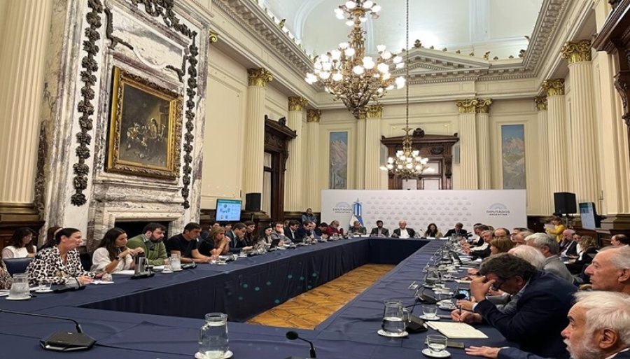 AVANZA. Diputados busca dictaminar un proyecto de Ley para bajar los DEX en granos