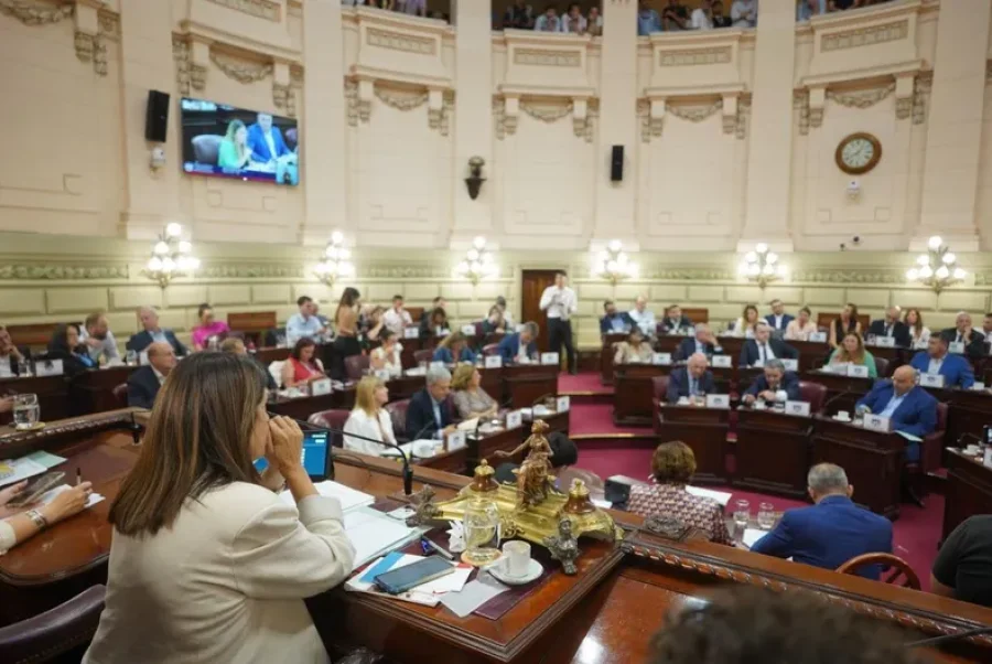PASO PREVIO. La C&aacute;mara de Diputados aprob&oacute; a principios de diciembre la Ley que declara la Necesidad de la Reforma Constitucional.