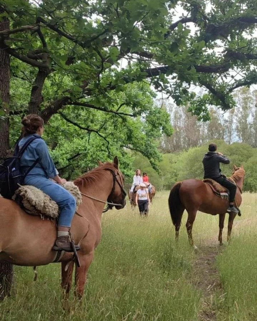 Cabalgata en Tres Arroyos.