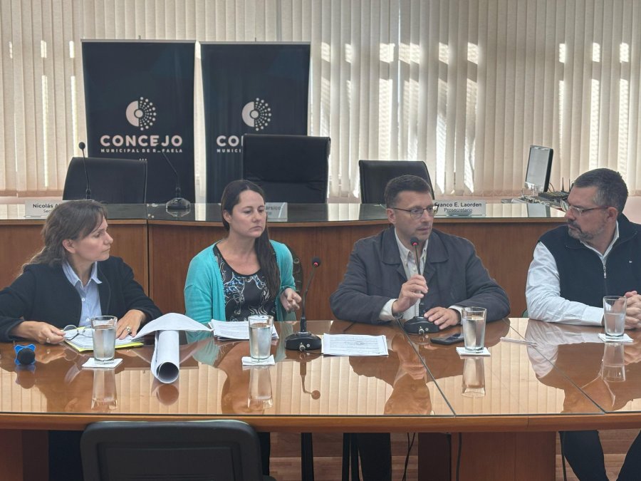 Bravino, Vidal, M&aacute;rsico y Bottero durante la reuni&oacute;n en el recinto del cuerpo legislativo.