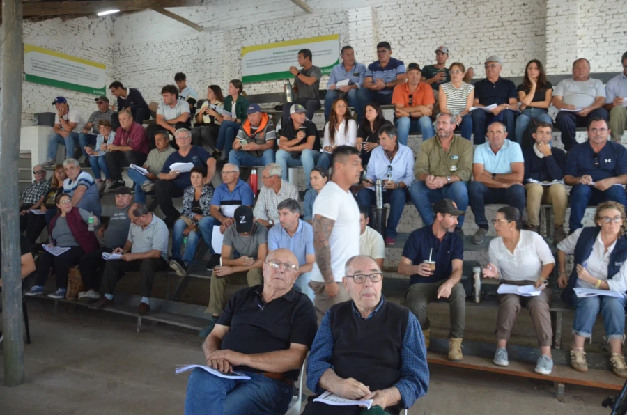 Una importante cantidad de productores particip&oacute; del remate en Esperanza.