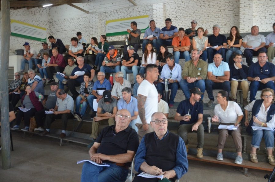 AGILIDAD. La buena oferta de calidad motivó una subasta con mucho interés y buenos valores.