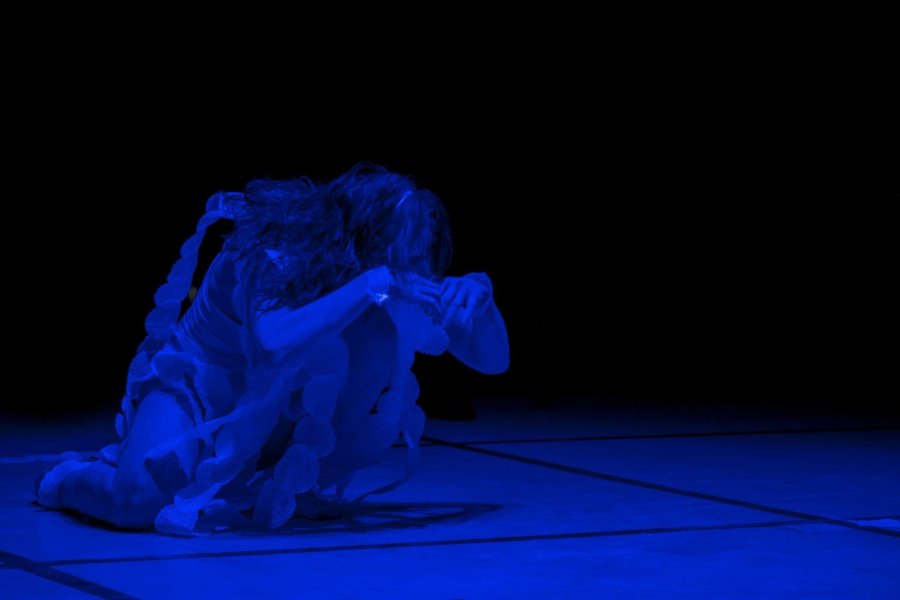 DANZA BUTOH. Danza japonesa expresiva y visceral.