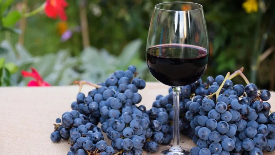 El vino malbec, estrella de de las exportaciones argentinas.