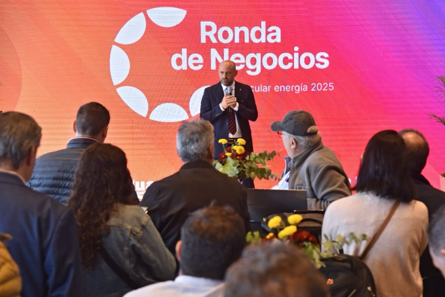 Ronda de Negocios Vincular Energ&iacute;a 2025.