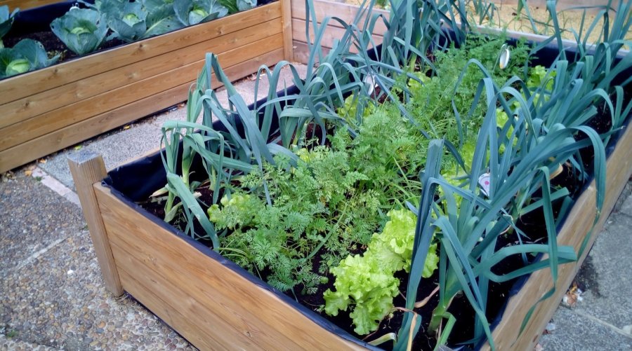 TALLER. El mismo ser&aacute; el d&iacute;a 22 de abril a las 18:00 en la vecinal del barrio Guillermo Lehmann.