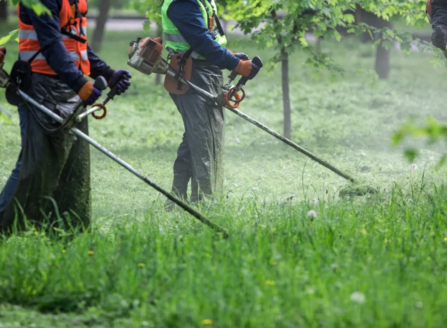 La medida apunta a mejorar la higiene urbana y generar empleo local.
