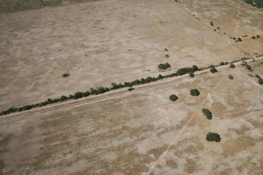 La sequía golpea duro a Chacho y parte de Santa Fe.