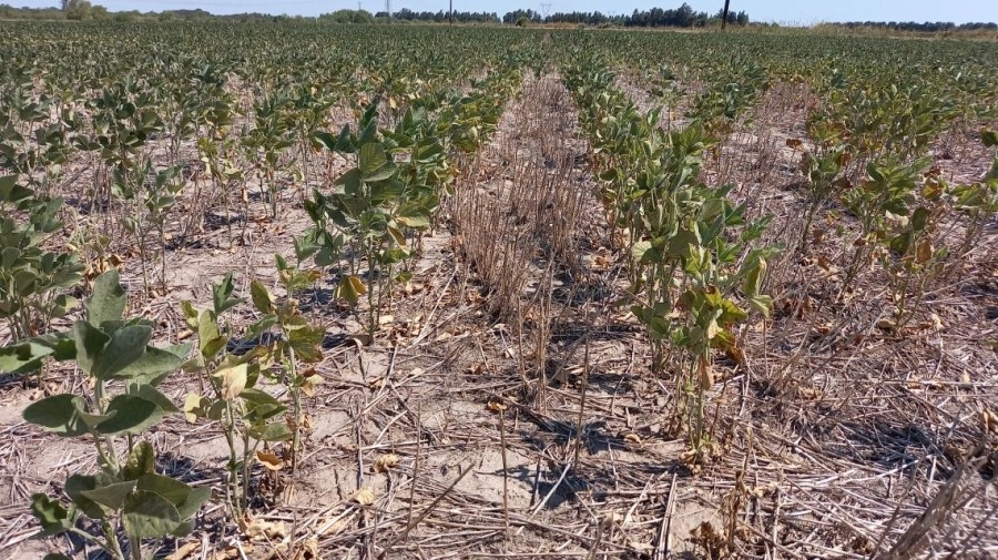 La medida fue solicitada mediante el Decreto Provincial N&ordm; 0435/25.