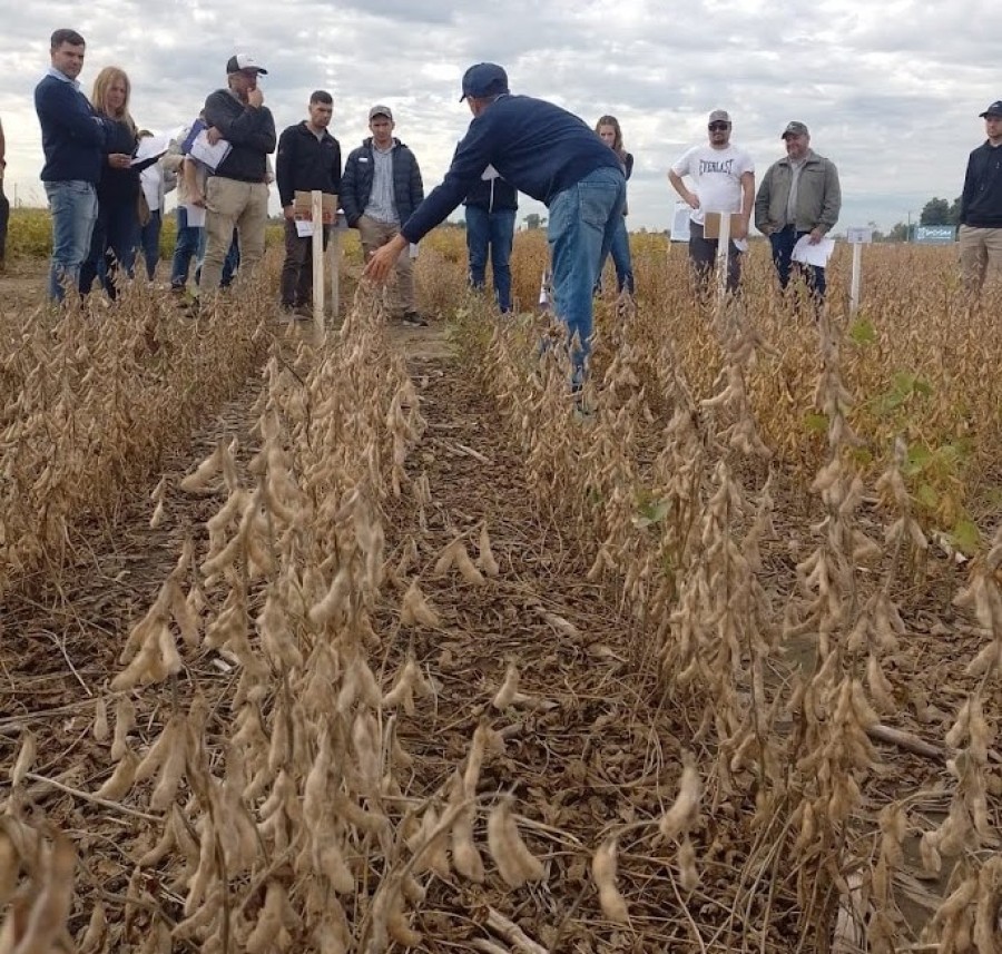 Productores y t&eacute;cnicos de la Regi&oacute;n Centro de la provincia durante la recorrida a campo en la Estaci&oacute;n del INTA Rafaela. (INTA RAFAELA)