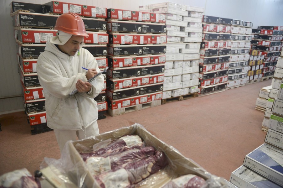 CAÍDA. En 12 meses la carne bovina exportada fue de un volumen de 713,4 mil toneladas peso producto.