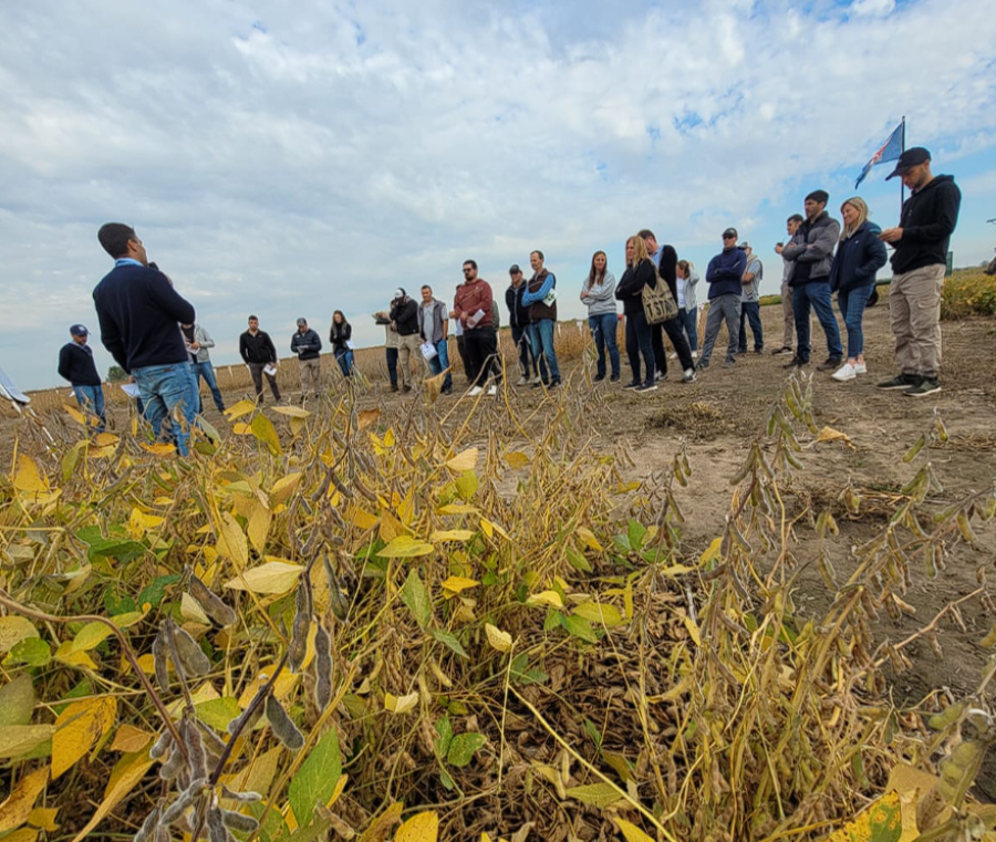 A CAMPO. Productores y técnicos intercambiaron conocimientos con la soja como protagonista.