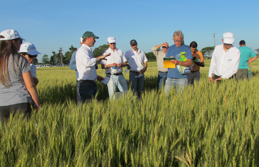 PRECAMPAÑA. La cooperativa pone a disposición de los productores una batería de soluciones pensando en "la fina".