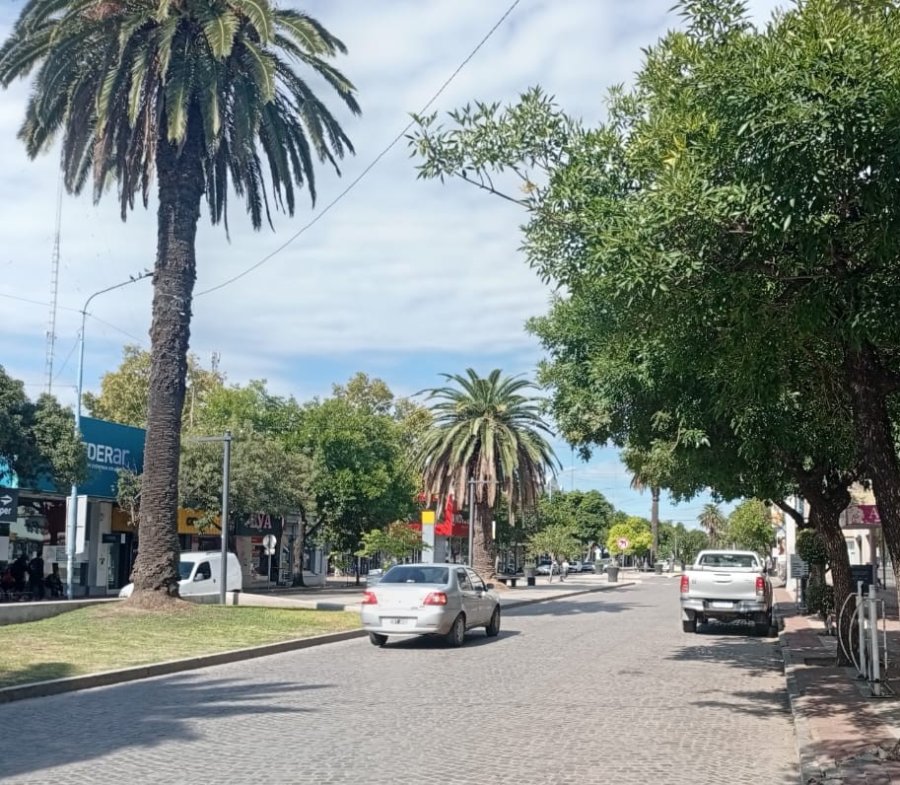 VEH&Iacute;CULOS. Las casas de ventas de repuestos son clave para el mantenimiento adecuado del parque automotor.