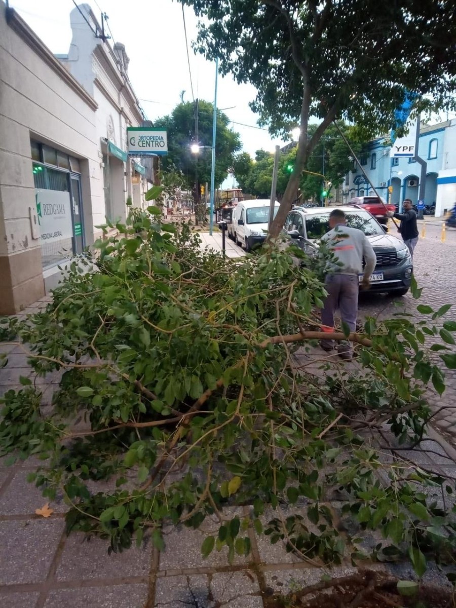 Mantenimiento y limpieza.