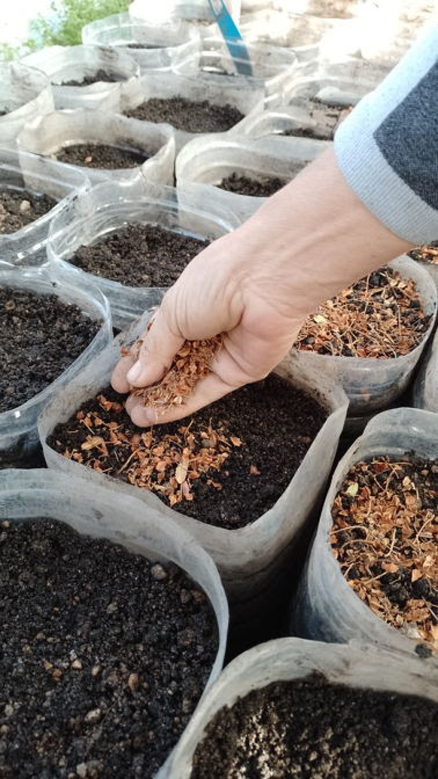 Acción andina destacó la actividad de la juventud.