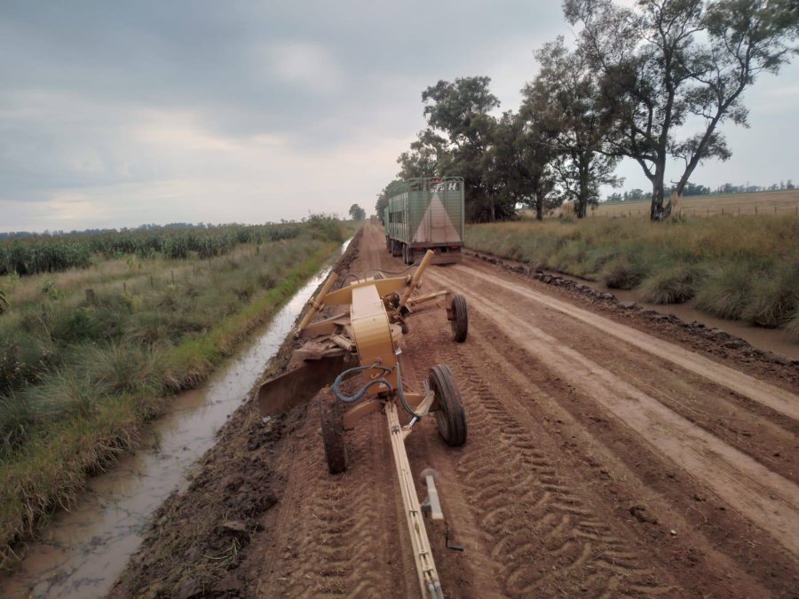 La Comuna trabaja intensamente en la red de caminos.