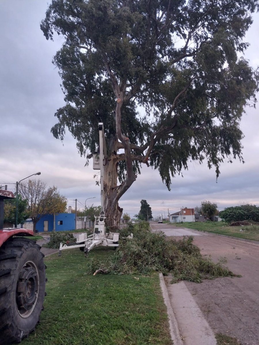 Trabajo coordinado para reforzar la seguridad en el barrio 2 de Abril.
