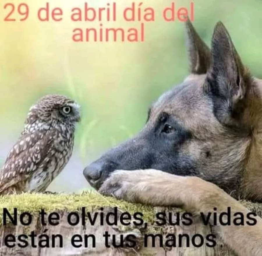 Así se recuerda la efeméride.