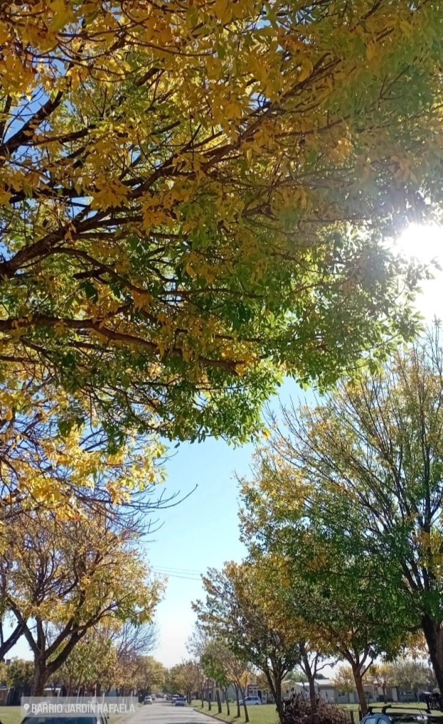 EL CLIMA EN RAFAELA. El SMN anticipa un invierno m&aacute;s c&aacute;lido de lo habitual en la ciudad y la regi&oacute;n.