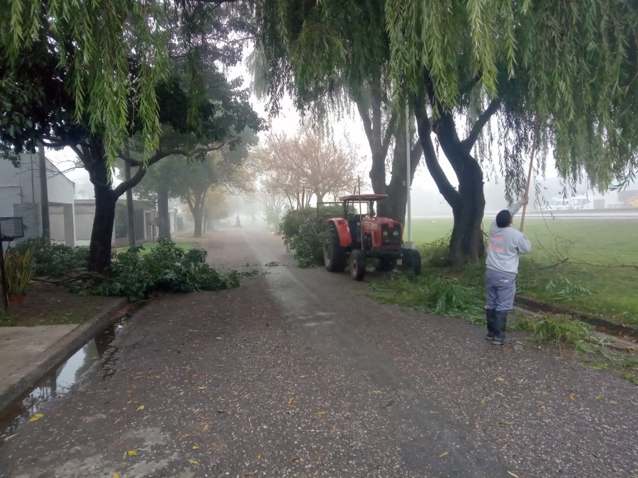 MEJORAS. El municipio intensifica las acciones conjuntas para una ciudad m&aacute;s saludable.