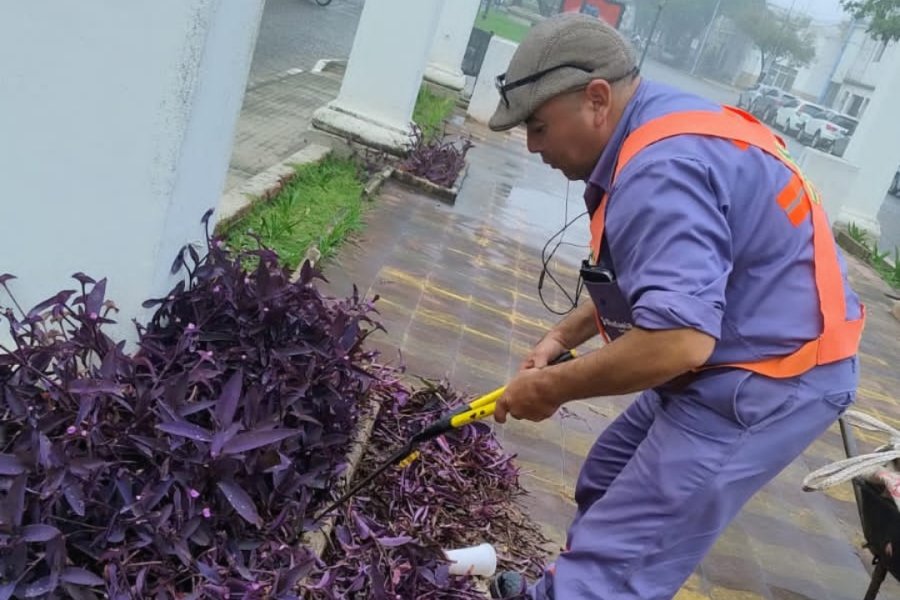 CUADRILLAS MUNICIPALES. Realizaron tareas de barrido manual, recolecci&oacute;n de hojas y actividades con pinches por roturas de bolsas en distintos puntos de la ciudad.