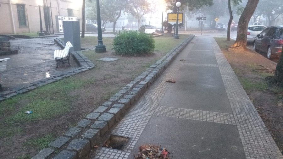 INTERVENCIONES. El municipio contin&uacute;a llevando a cabo tareas de barrido, limpieza y acondicionamiento en diferentes sectores de la ciudad.