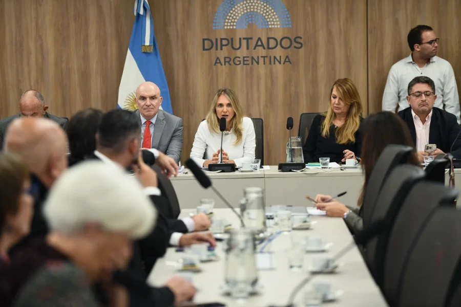 Diputados opositores buscan acuerdos sobre la extensión de la moratoria previsional.