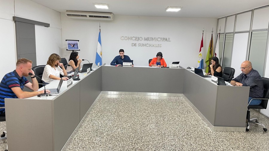 Los ediles volverán a sesionar mañana.