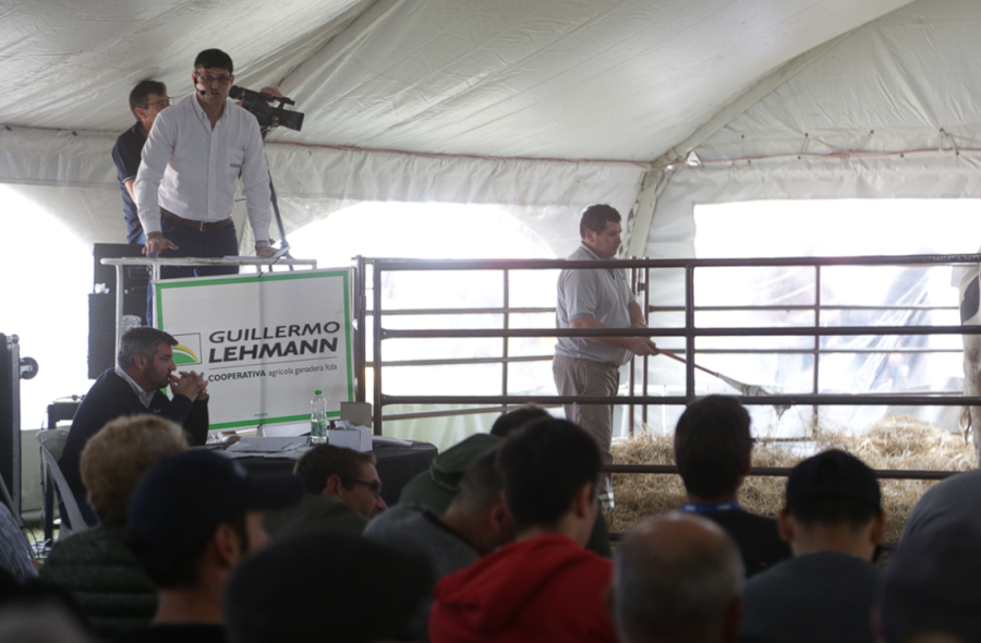 SUBASTA. Como siempre, "la Lehmann" realizar&aacute; un remate con hacienda de calidad.