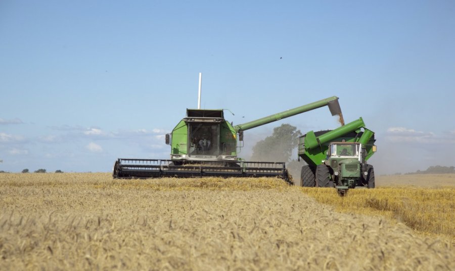 CRECIMIENTO. Entre los cultivos que más hectáreas incorporaron está el trigo, que va por otro récord.
