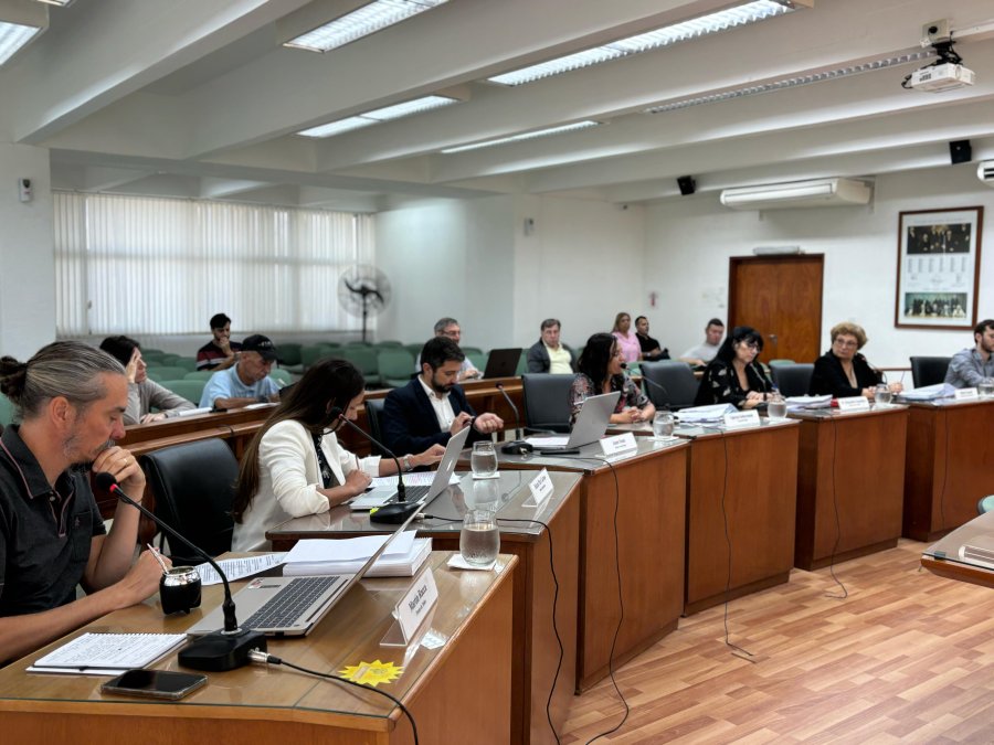 DISCUSI&Oacute;N. Una cobra de pavimento dividi&oacute; aguas entre los concejales, incluso en el oficialismo.