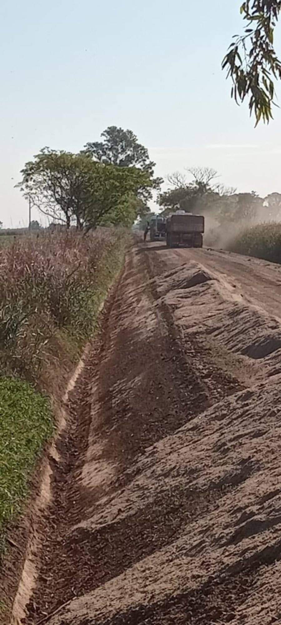 Trabajos en el arenado.