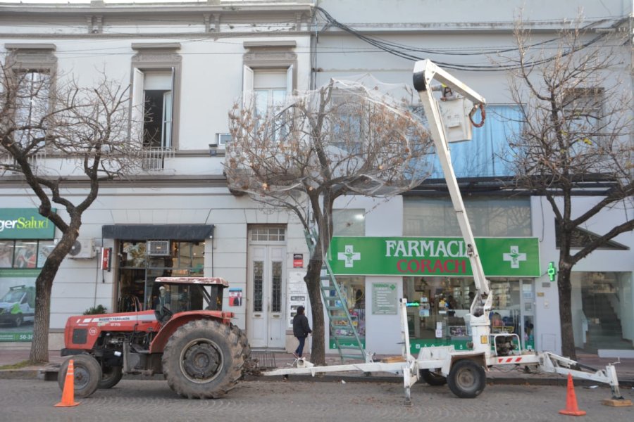 INTERVENCION. El gobierno municipal llevó adelante tareas de mantenimiento con el objetivo de controlar la presencia de aves en el lugar.