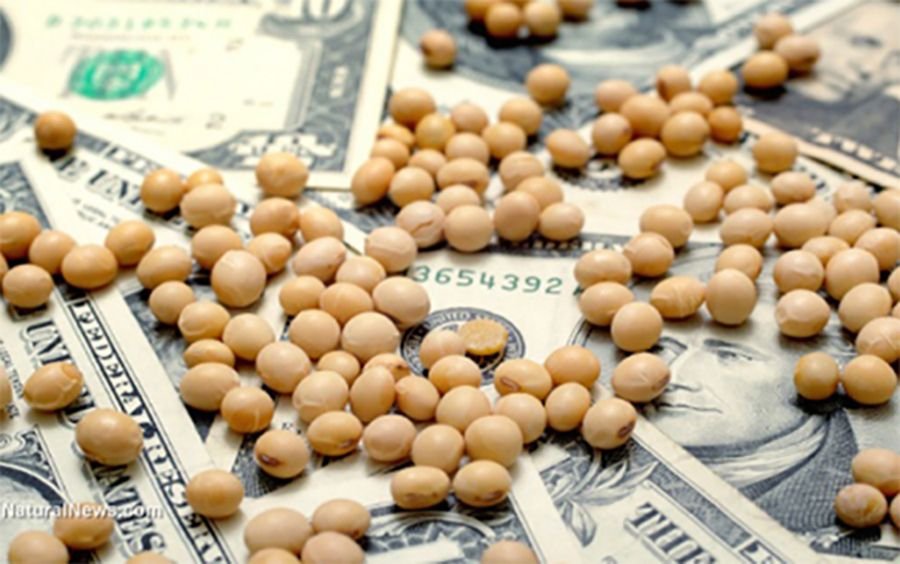 DOLAR. la agroindustria aportó el 92% de las divisas que ingresaron al país en los últimos cinco años.