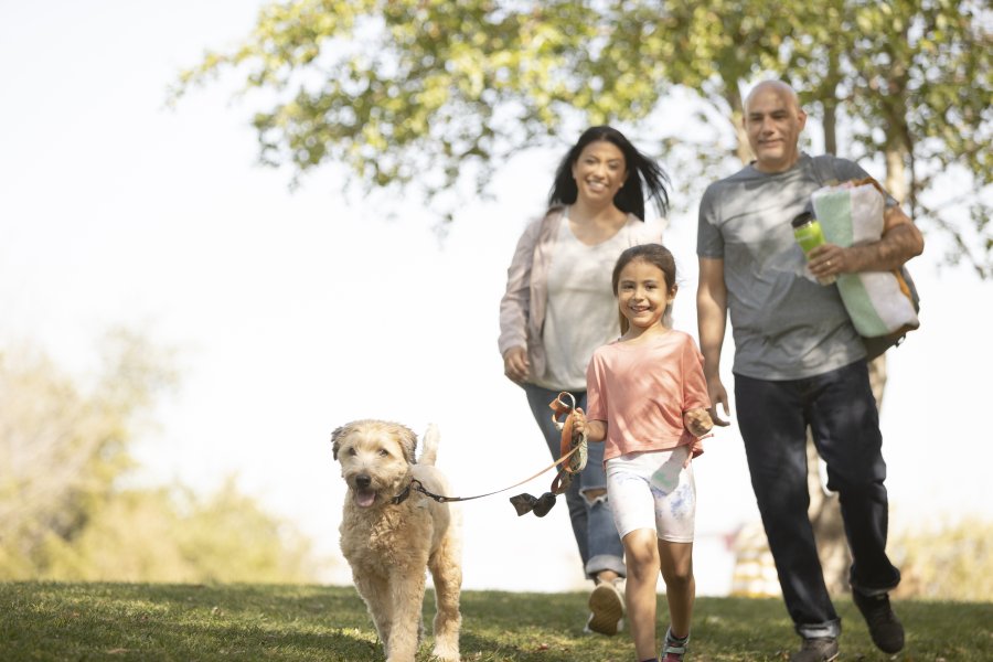 Se celebra hoy el Día internacional de la familia.