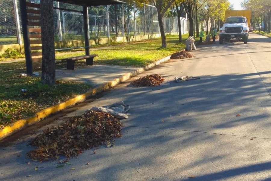 Tareas de barrido en diferentes zonas de la ciudad.