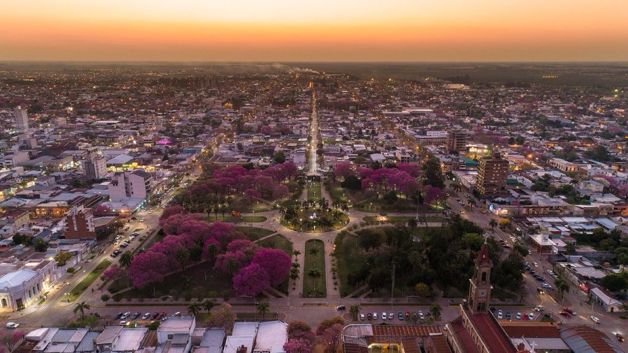 Programa &ldquo;Santa Fe: un mill&oacute;n de &aacute;rboles&rdquo;.