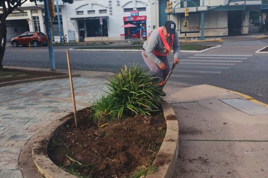 Cuadrillas municipales intervienen en distintos puntos de la ciudad.