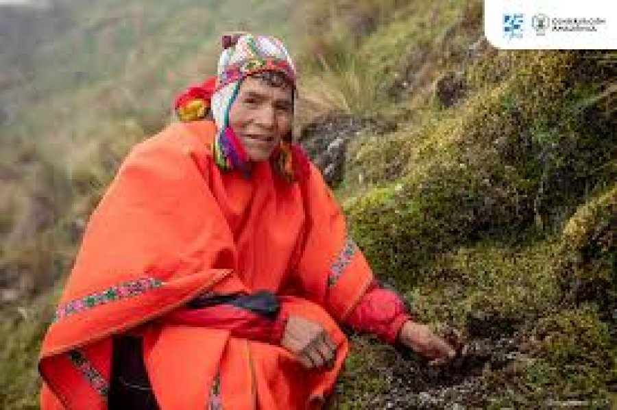 Mujer andina que trabaja en la restauración de bosques.