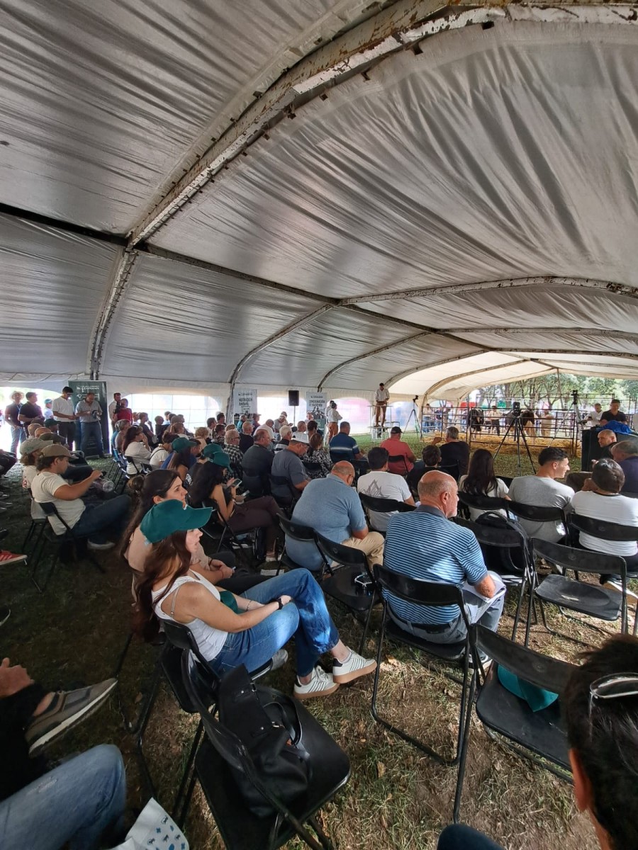 REMATE. Como siempre, la subasta contó con hacienda de calidad y muchos productores.