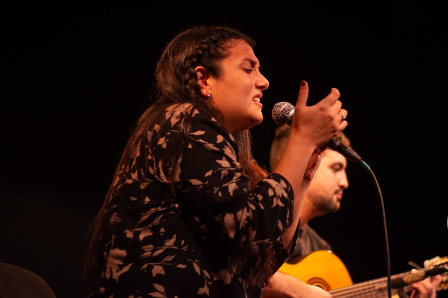 VIEJO MERCADO EN VIVO. El ciclo culmina hoy con shows exquisitos.