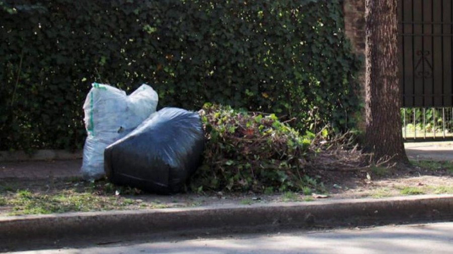 MONITOREO. El municipio realizó un operativo en un sector donde se habían detectado residuos domiciliarios y voluminosos fuera de lugar.