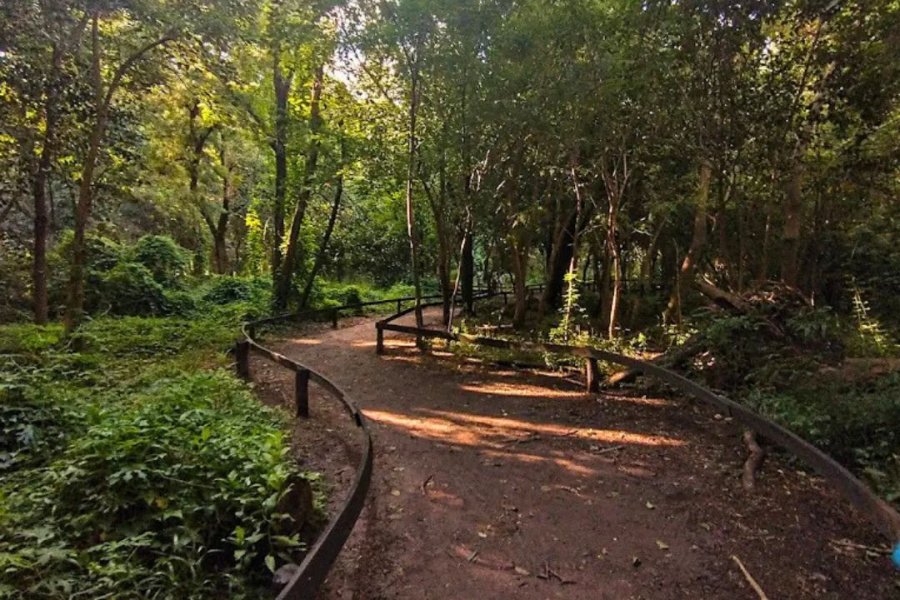 TAREAS DE LIMPIEZA. El municipio continúa llevando a cabo el el plan de mantenimiento de los espacios públicos de la ciudad.